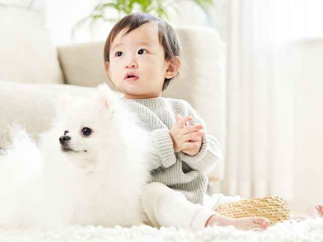 ペット可物件