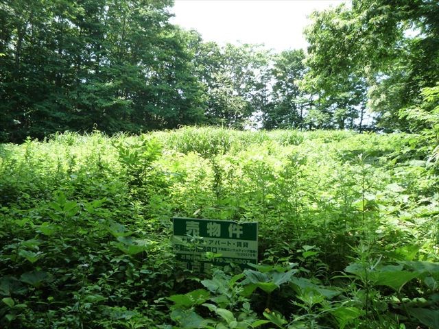 現地写真