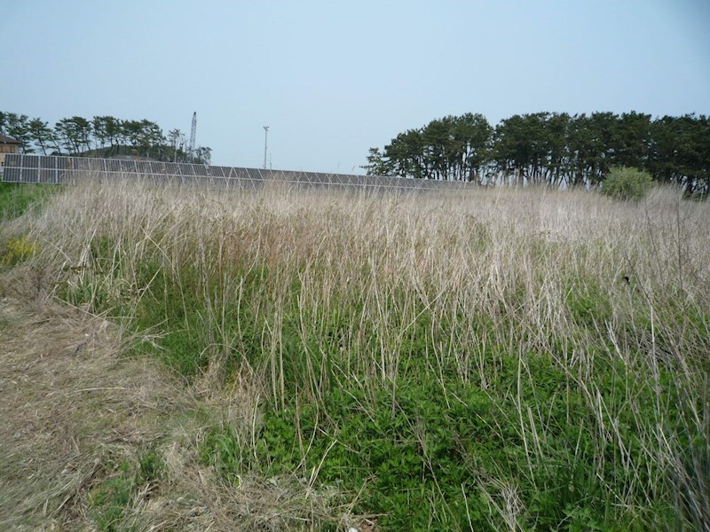 2079　八戸市大字市川町字橋向　土地 現地写真