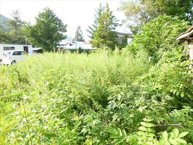 2101　青森県三戸郡南部町大字高瀬字上川原　土地 現地写真