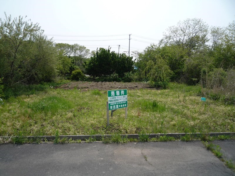 現地写真