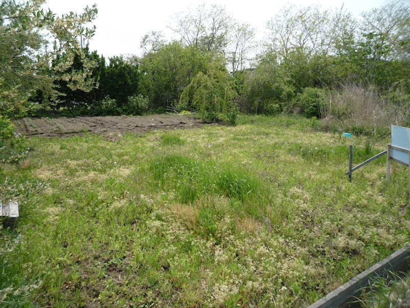 2133　八戸市大字市川町字南大谷地　土地 現地写真