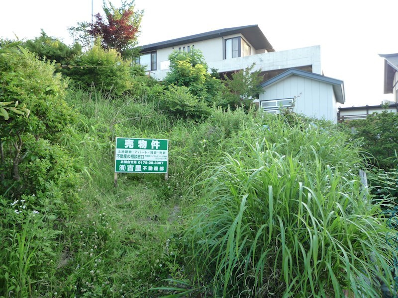 現地写真
