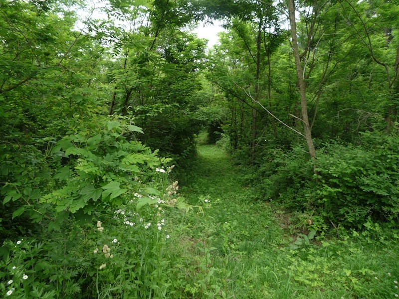 2193　三戸郡階上町蒼前東2丁目 現地写真