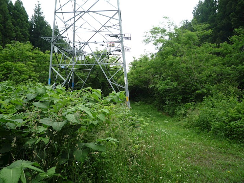 2193　三戸郡階上町蒼前東2丁目 現地写真