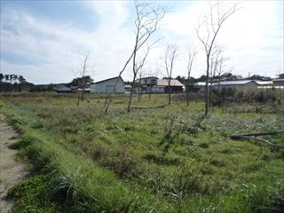 2194　青森県上北郡おいらせ町一川目１丁目 現地写真