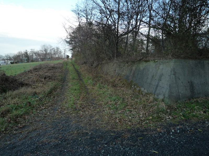 2198　青森県八戸市大字妙字大開　土地 現地写真