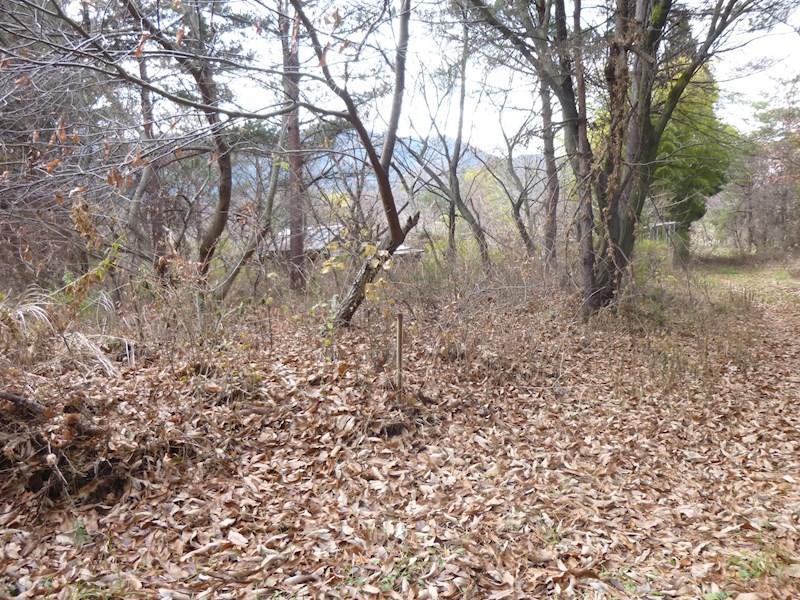 2201　青森県三戸郡階上町大字鳥屋部字沼沢　土地 現地写真