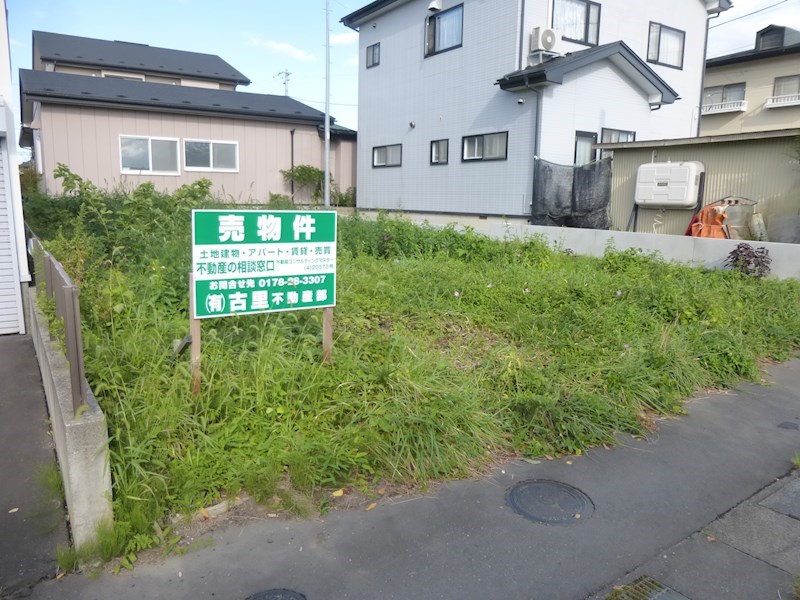 現地写真