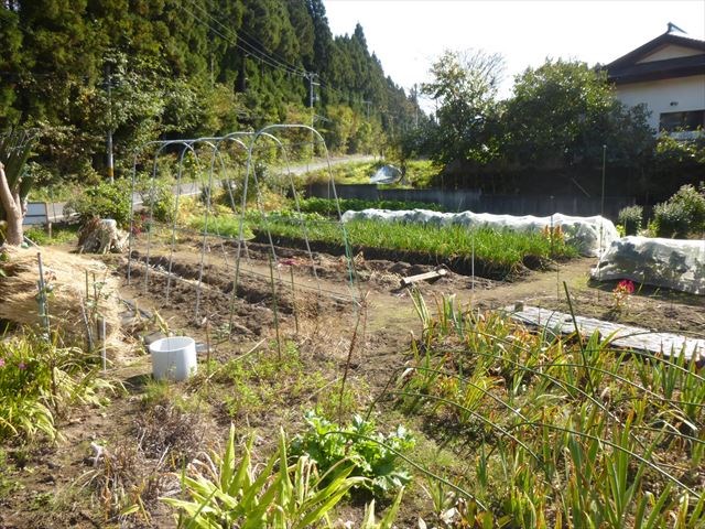 2283　上北郡おいらせ町神明前　土地※ただ今商談中です 現地写真