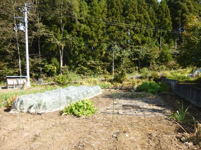 2283　上北郡おいらせ町神明前　土地※ただ今商談中です 現地写真
