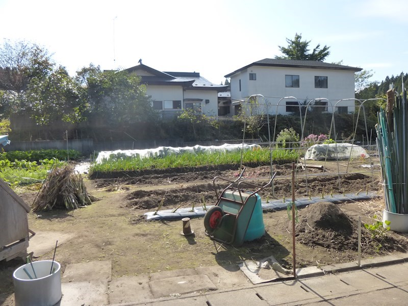 2283　上北郡おいらせ町神明前　土地※ただ今商談中です 現地写真