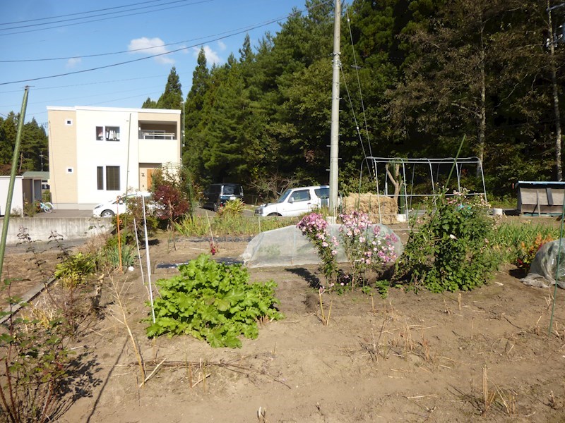 2283　上北郡おいらせ町神明前　土地※ただ今商談中です 現地写真