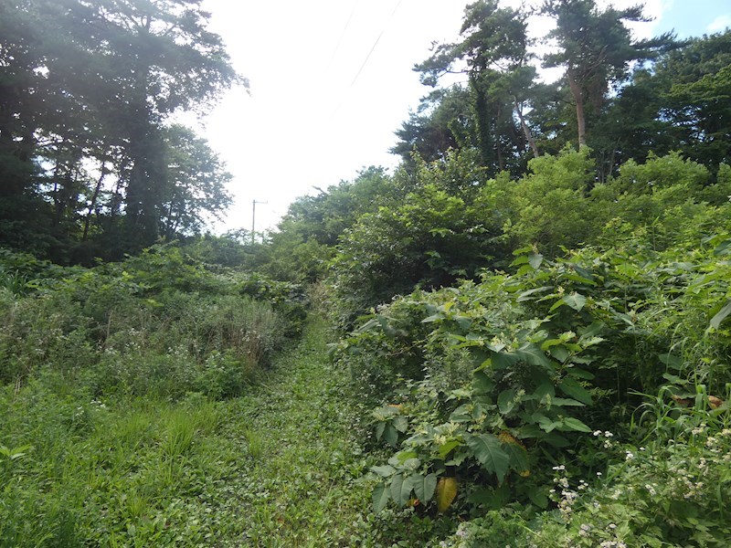 2296　三戸郡階上町蒼前東2丁目　土地 現地写真