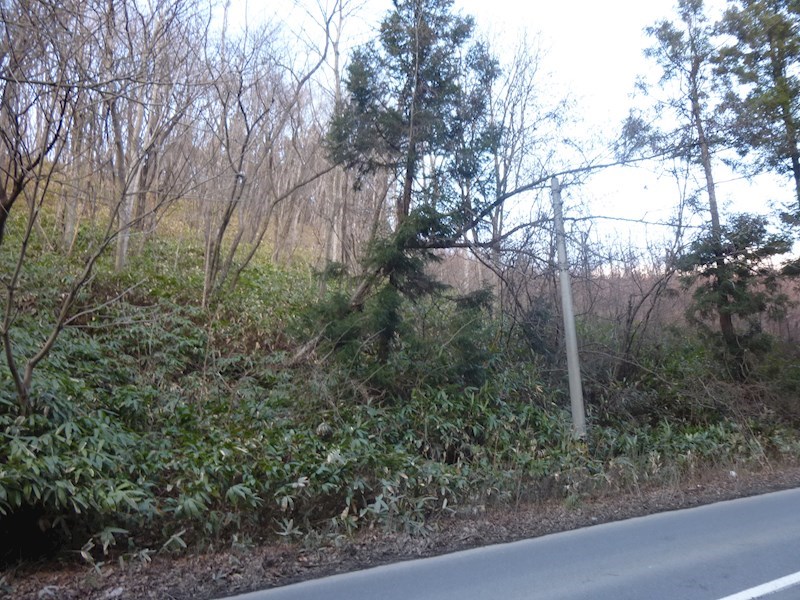 2327　三戸郡南部町大字森越字志民　土地　※ただ今商談中です 現地写真