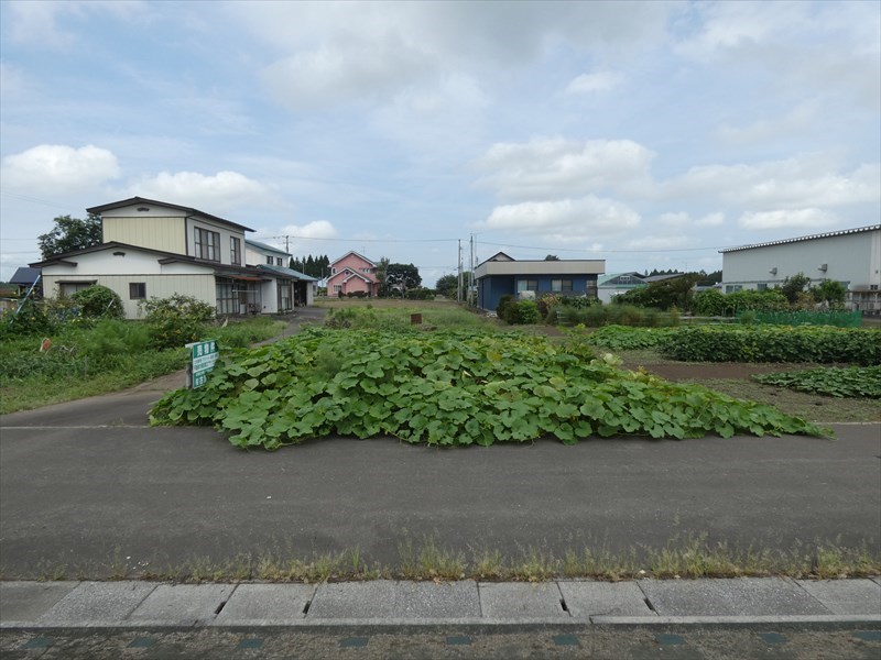 2458　十和田市大字大沢田字北野　土地 現地写真