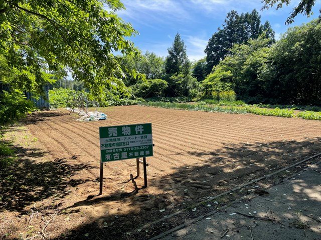 現地写真 2023年7月10日撮影