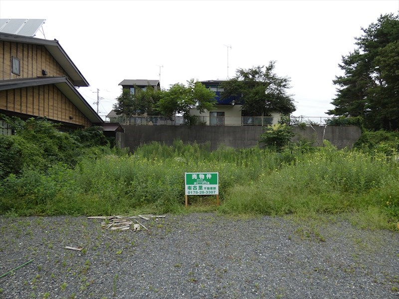 現地写真