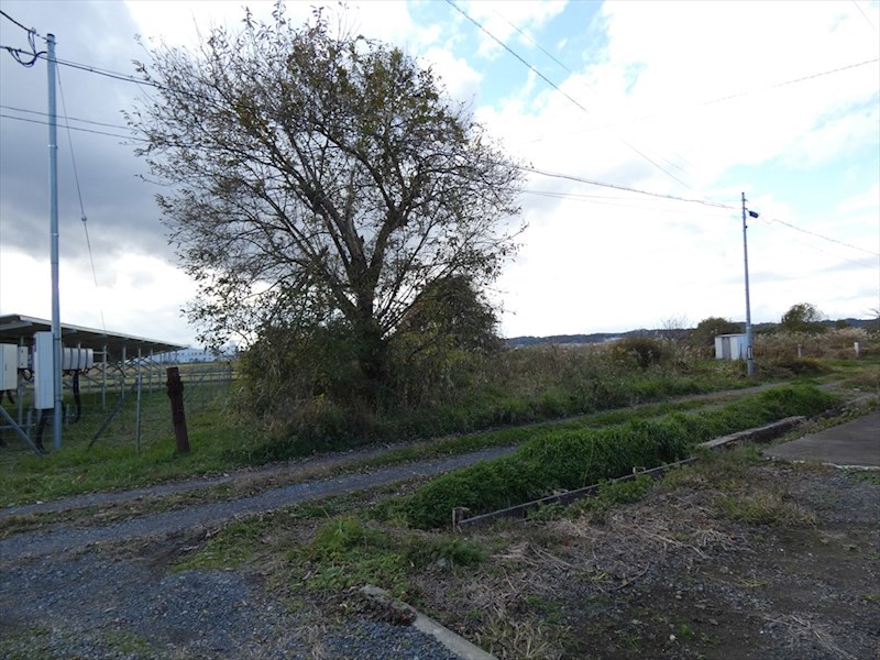 2551　八戸市大字長苗代字中坪　土地 現地写真（前面道路含む現地写真）