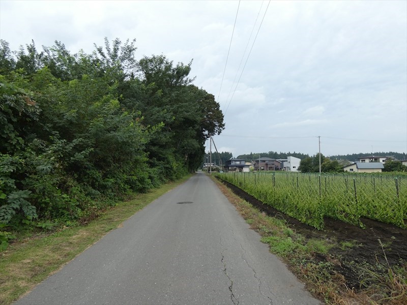 2493　上北郡六戸町大字犬落瀬字下久保 現地写真（前面道路含む現地写真）