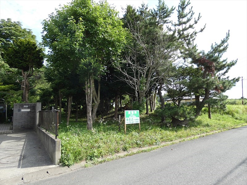 現地写真