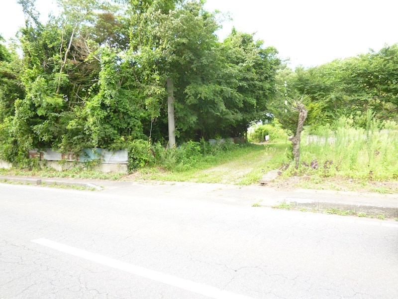 2276　三戸郡階上町大字角柄折字蝙蝠　　土地 現地写真（前面道路含む現地写真）