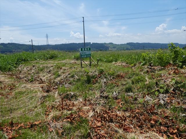 現地写真